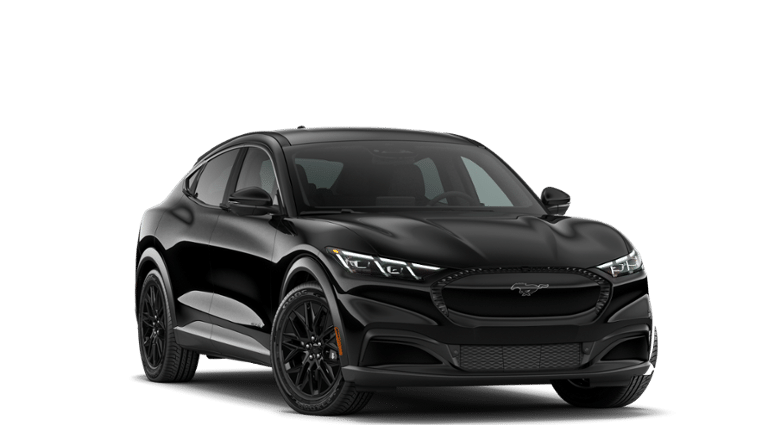 Mustang Mach-E® vehicle